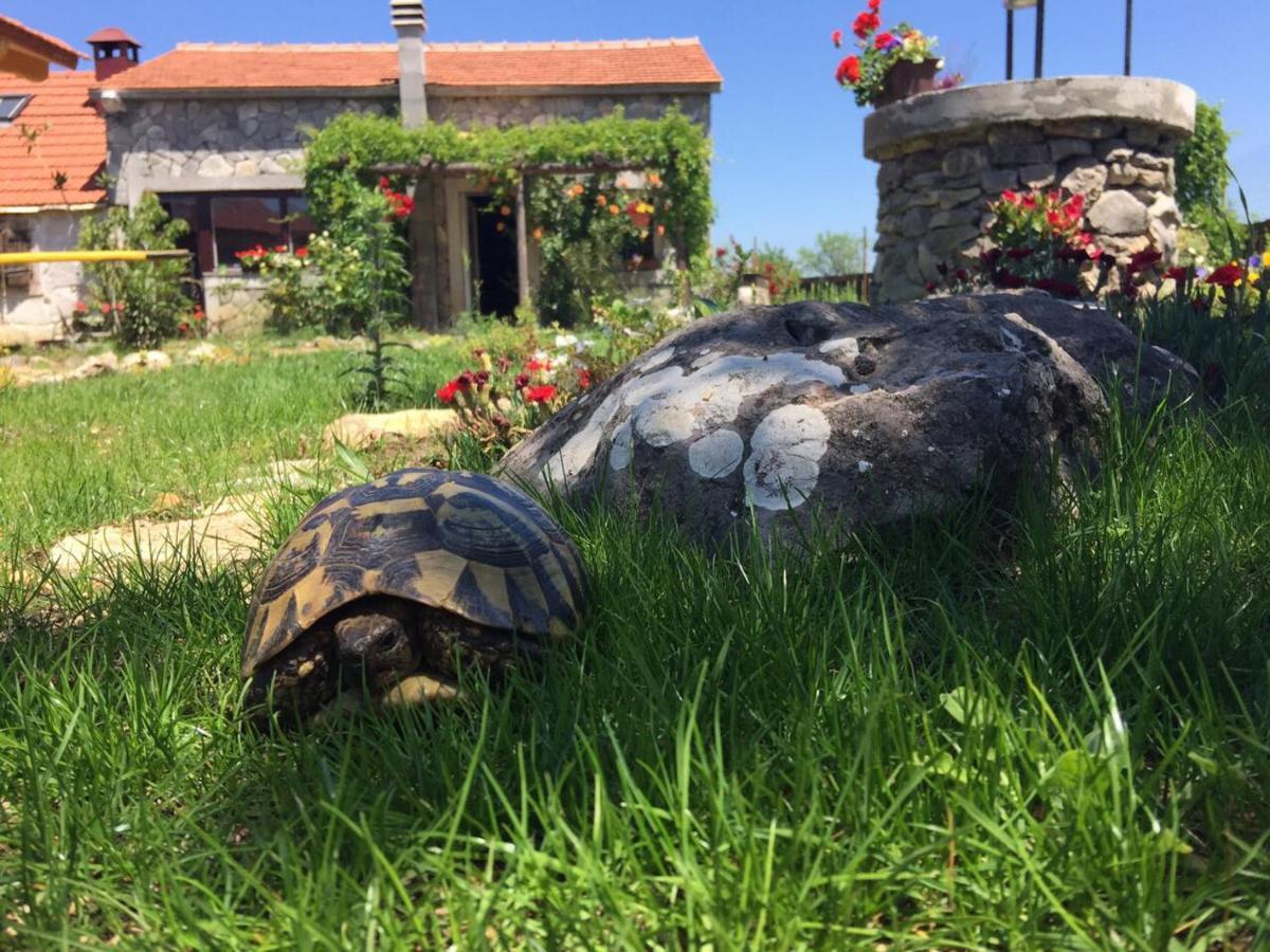 Villa Kuca Za Odmor Joko I Jeka à Bogatić Extérieur photo