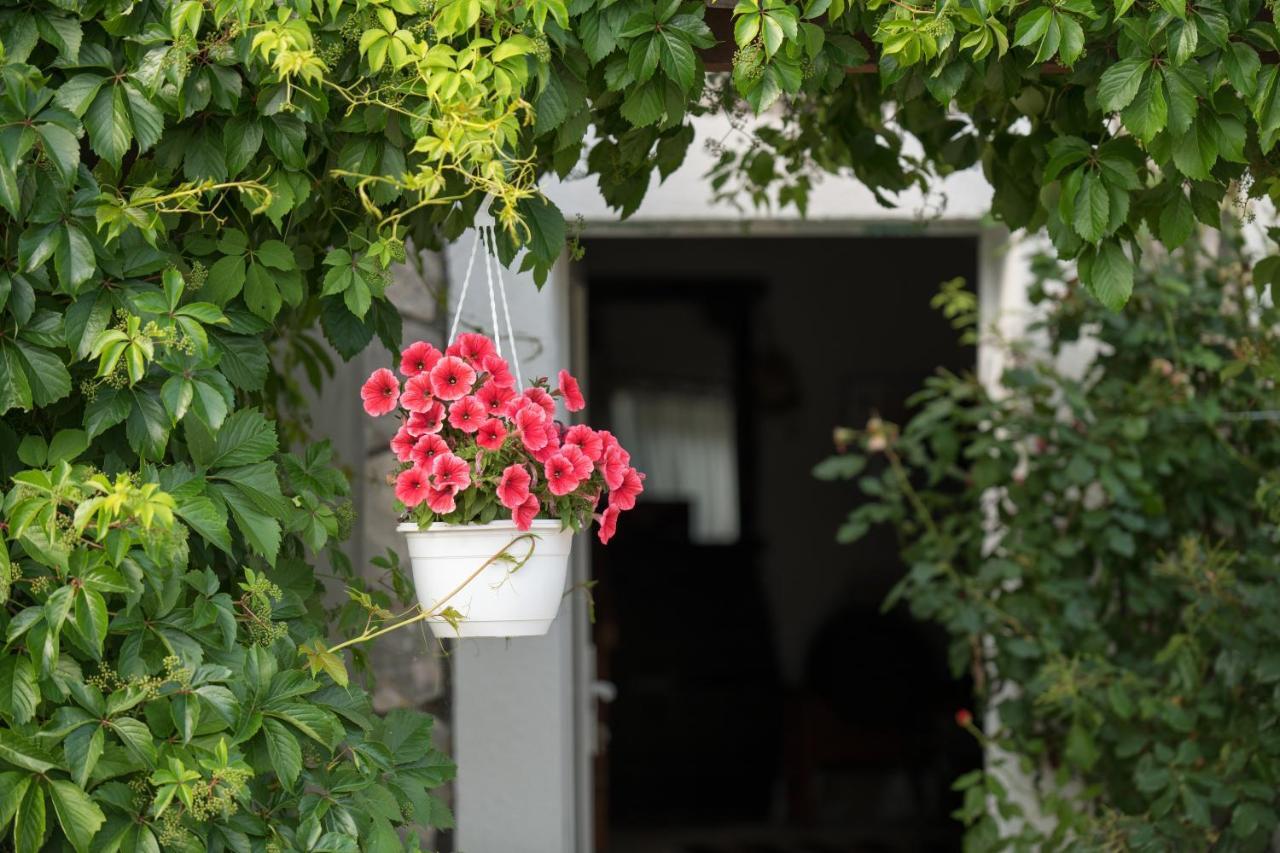 Villa Kuca Za Odmor Joko I Jeka à Bogatić Extérieur photo